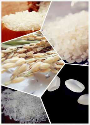 溯源:从餐桌到农田的通江河稻米